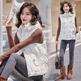 Cotton Vest Female Autumn Winter 2024 New Korean Version Vest Stand Collar Short Horse Clip All-Padded Clothes Vest Coat