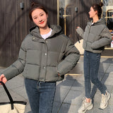 Cotton Clothes Women's Short Style 2024 Winter New Thickened Loose Stand Collar Bread Clothing Cotton-Padded Clothes Small Coat Tide