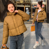 Cotton Clothes Women's Short Style 2024 Winter New Thickened Loose Stand Collar Bread Clothing Cotton-Padded Clothes Small Coat Tide