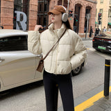 Wears Down Cotton Jacket Female 2024 New Short PU Leather Winter Coat Small Padded Clothes Padded Jacket Female